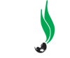 SBOF-Savio Fertilizers